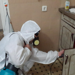Дезинфекция от муравьев в квартире в Свиблово метро Москвы
