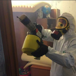 Уничтожение клопов в квартире. Свиблово 
